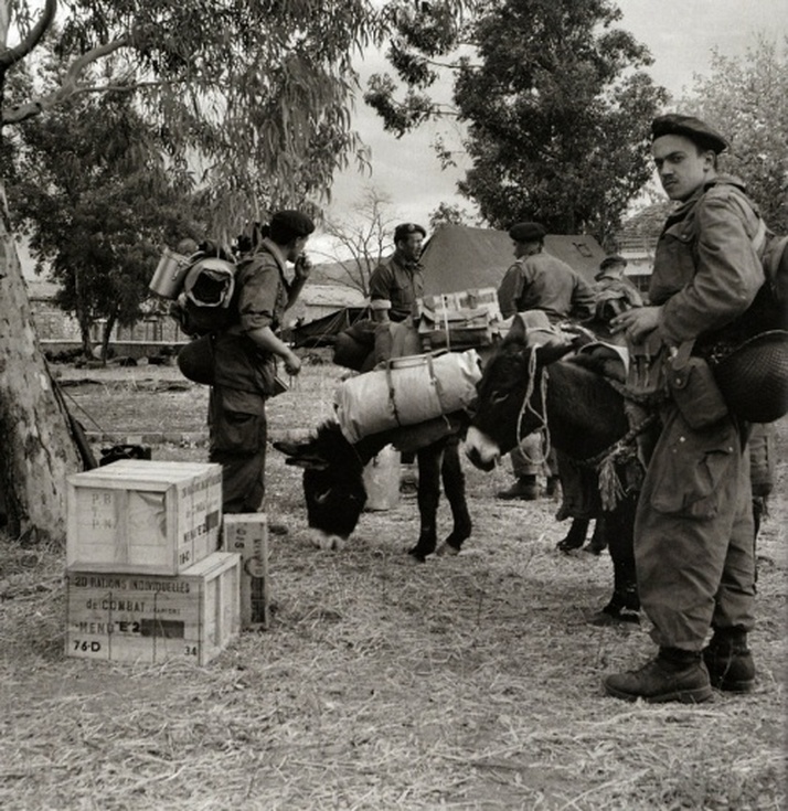 Des soldats en opération dans l'Aurès installent leur campement le 15 novembre 1954
