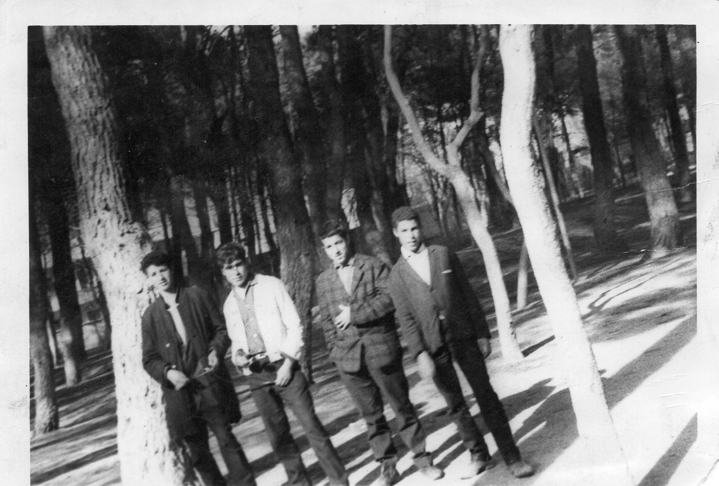 ايام الدراسة في باتنة الصورة اخذت مع زملاء الدراسة في حديقة باتنة من اليمين الى اليسار بوذراع سليمان المرحوم بوذراع السعيد المعروف ببويا المرحوم معاش ابراهيم وانا.