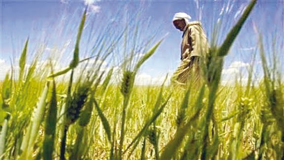 Planète - COOPÉRATION BILATÉRALE ENTRE L’ALGÉRIE ET L’UE:  Concertation sur le programme-pilote de développement rural