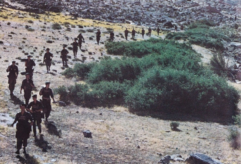 les Paras de la 25ème DIAP récemment rentrés d'Indochine ont été envoyés immédiatement en renfort dans les AURES