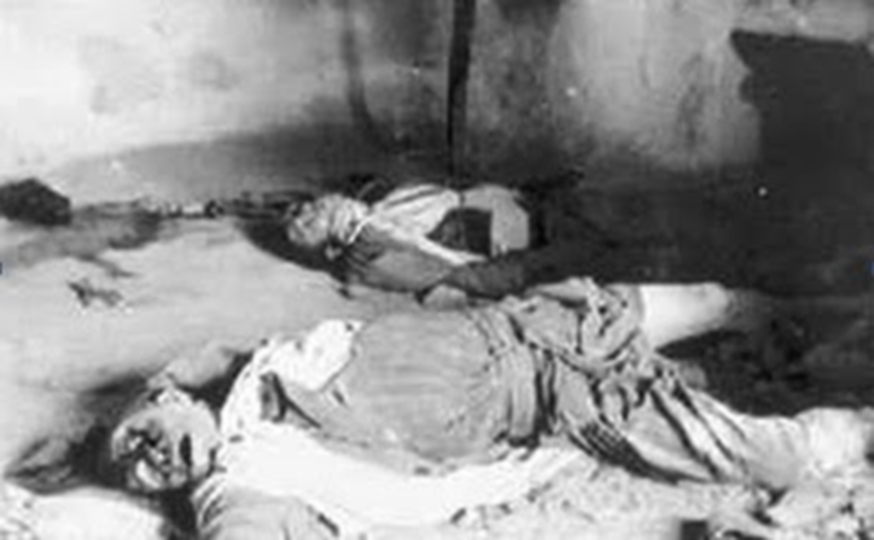 تجاوزات حرب شاملة غير معلنة في منطقة الاوراس الاشم