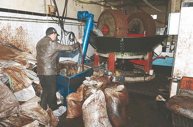 Algérie - OLÉICULTURE:  La filière n’est pas bien… huilée !