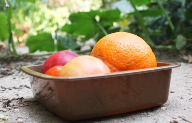 Planète - Montpellier: Des chercheurs créent des emballages à partir de déchets industriels