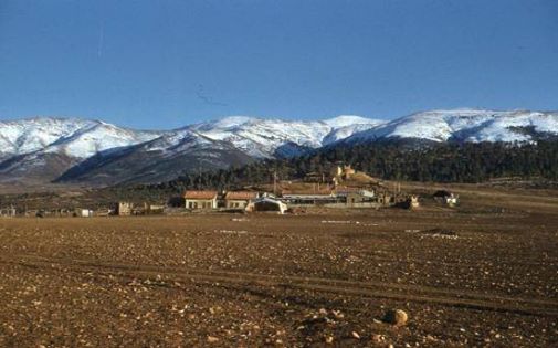 Vue du camp de la D.Z. - Au fond le mont Faroum douar tamza