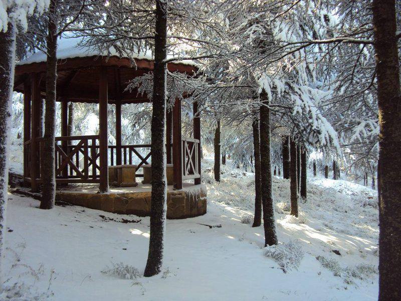 Médéa : Ben Chicao