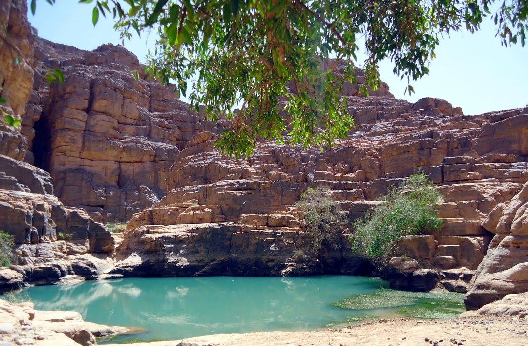 Djanet (wilaya d'Illizi) : Rivage rocheux de la Guelta de Tikoubaouine dans le Canyon d'Essendilène.