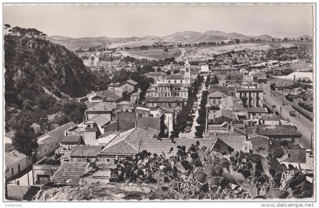 Algérie en 1957,avant l´indépendance,NEMOURS,rue gambetta,djemaa el ghazaouet,tlemcen,prés oran,fontière marocaine,
