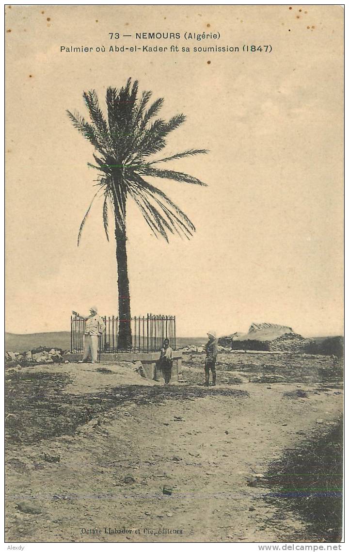 NEMOURS ALGERIE- PALMIER OU ABD-EL-KADER FIT SA SOUMISSION