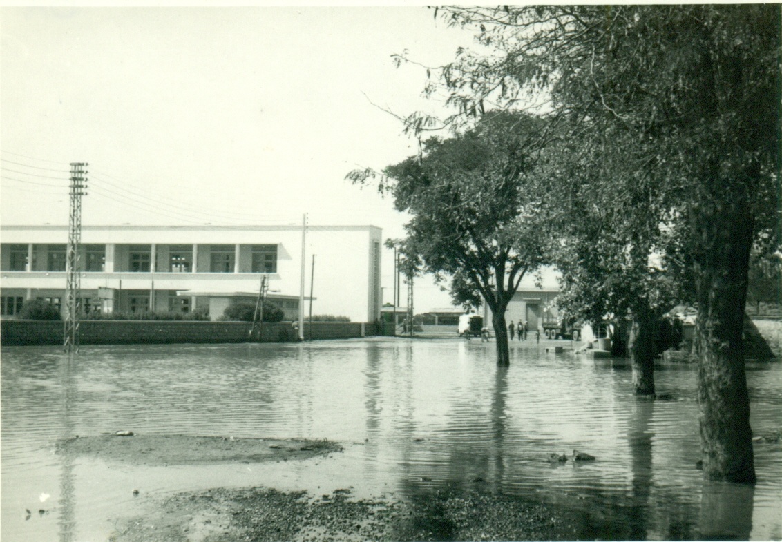 1952 inondation à Nemours Ghazaouet 6