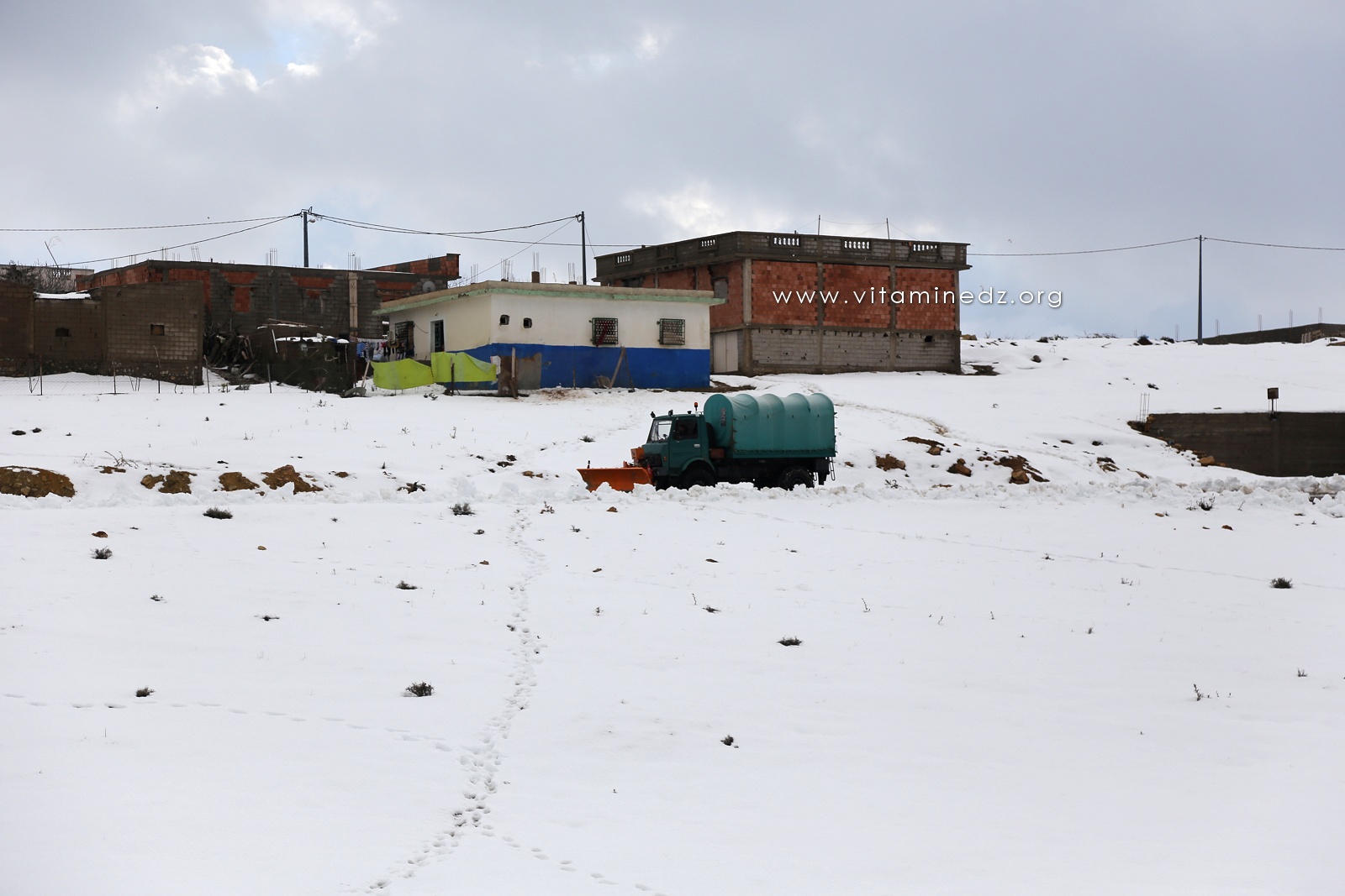 Tlemcen - Chasse Neige à El Mefrouche