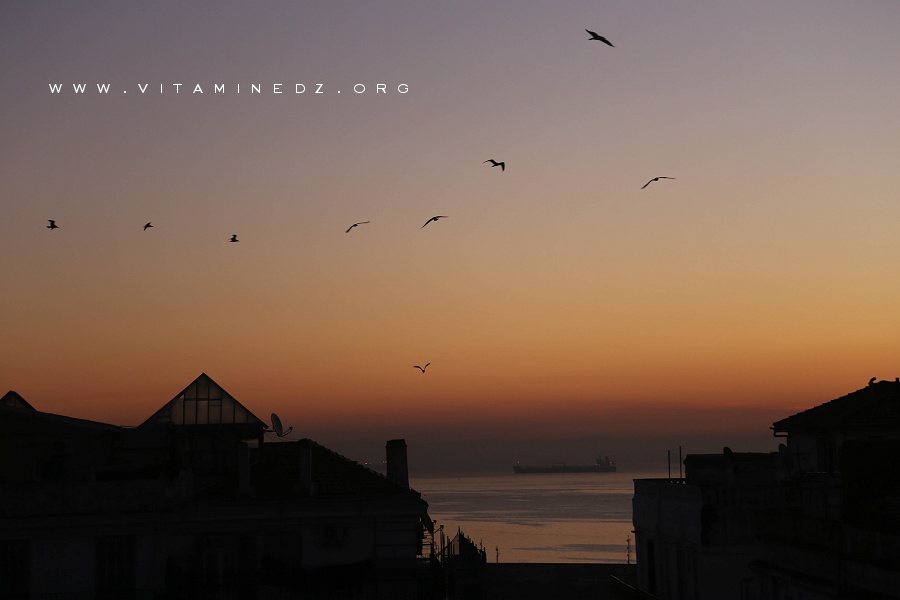 Sur les toits d'Alger - Photos d'Alger la nuit