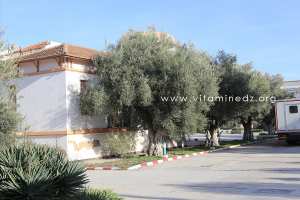 Sidi Belabbes - Ecole des Beaux Arts  - Section Musique