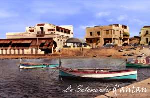 La salamandre vers 50's