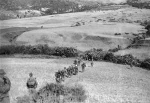 1956/60 - Région de Nemours sur le  Tadjéra  - (Pfister Jean-Yves)