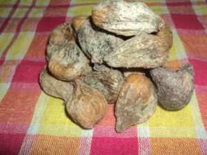 Yennayer 2967 à Lemroudj