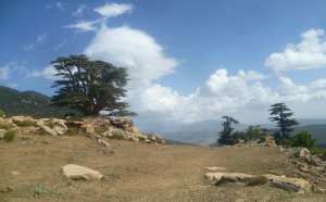 Djebel Chélia , Montagne en Algérie (Khenchela-Batna)
