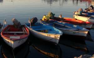 fraternité entre barques a la tombé de la nuit