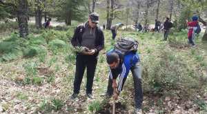 Randonnée reboisement au lac noir 1000 cèdre planter