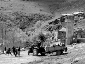 Béni Oulbane - Une première à Skikda:  Introduction du cèdre de l’Atlas à Sidi Driss