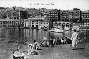 Alger, au début du XXe siècle