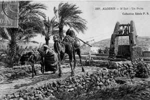 Les animaux travaillent au puits