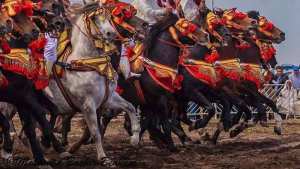 La chevauchée du Sersou.