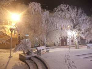 Rue Emir Aek ex Bugeaud