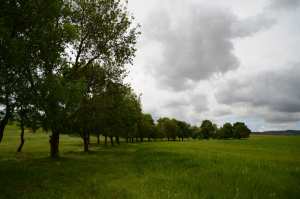 La plaine du Sersou.