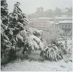 La palce de martyrs ex Carnot