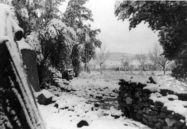 Hiver 1959  - Vue du campement sous la neige à Frenda - (Pfister Jean-Yves)