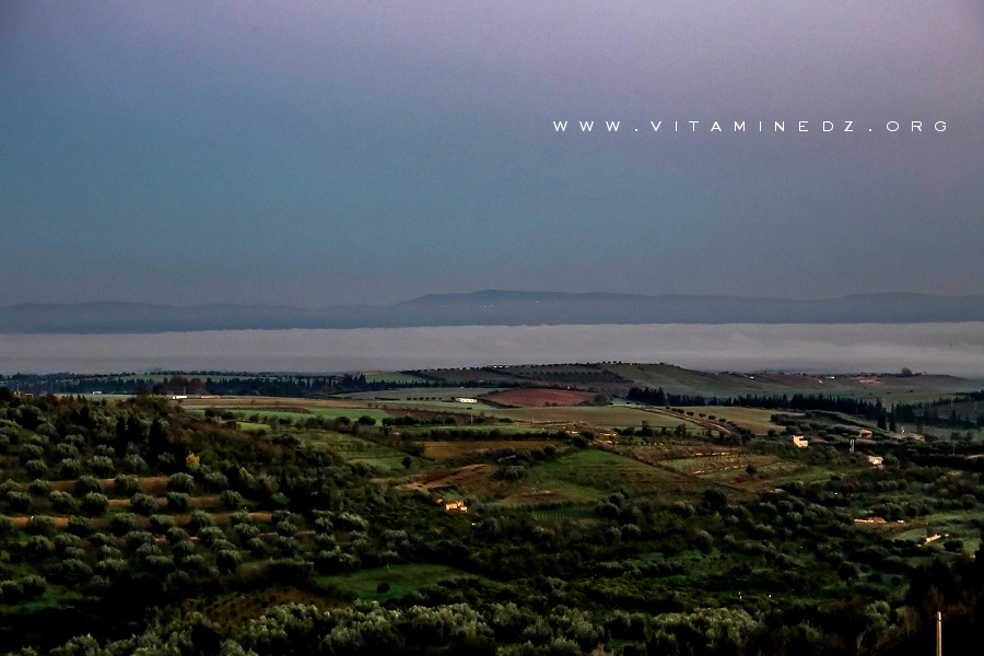 Plaine de la Sikkak, riche région agricole