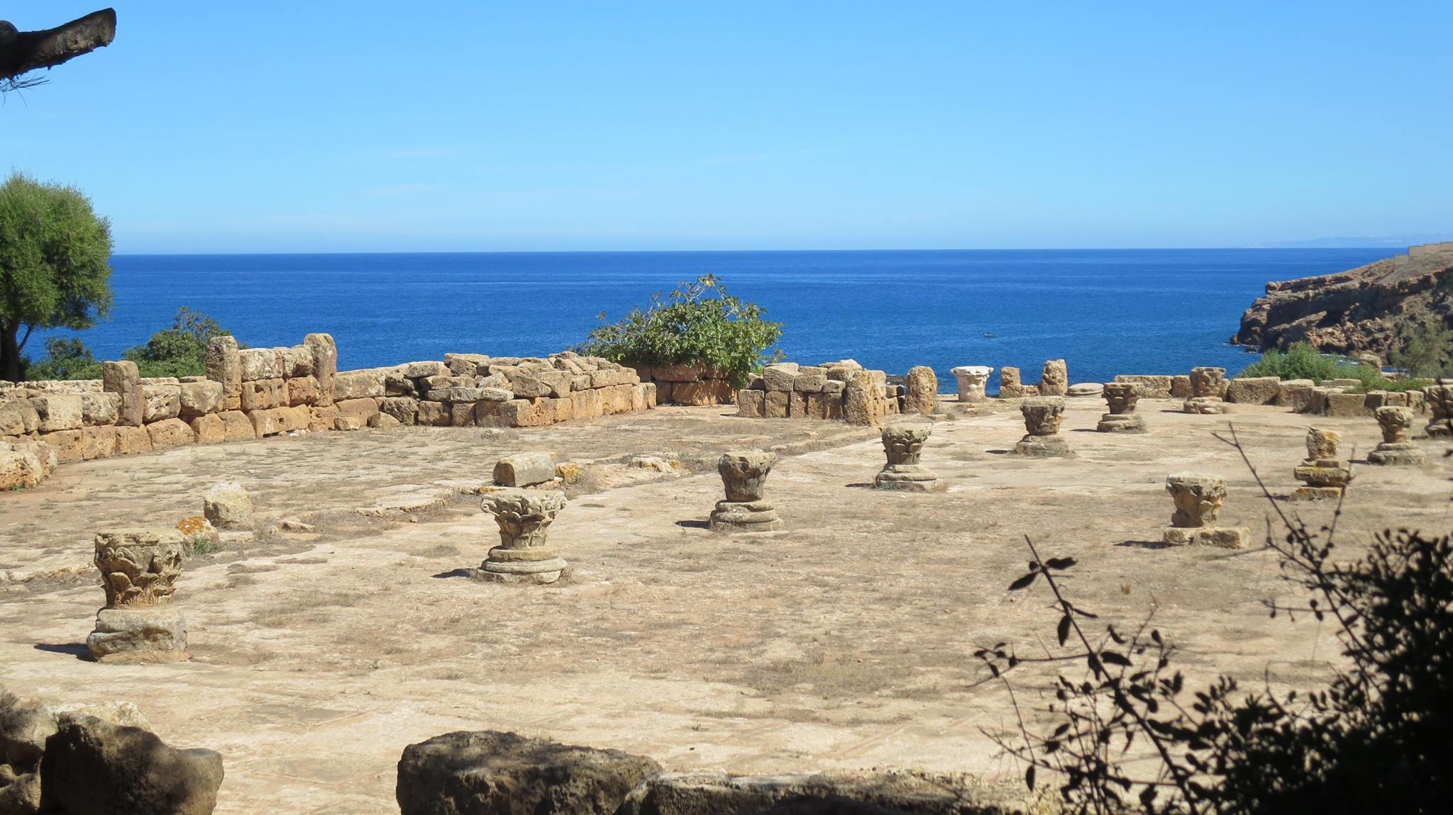 les ruines de Tipasa