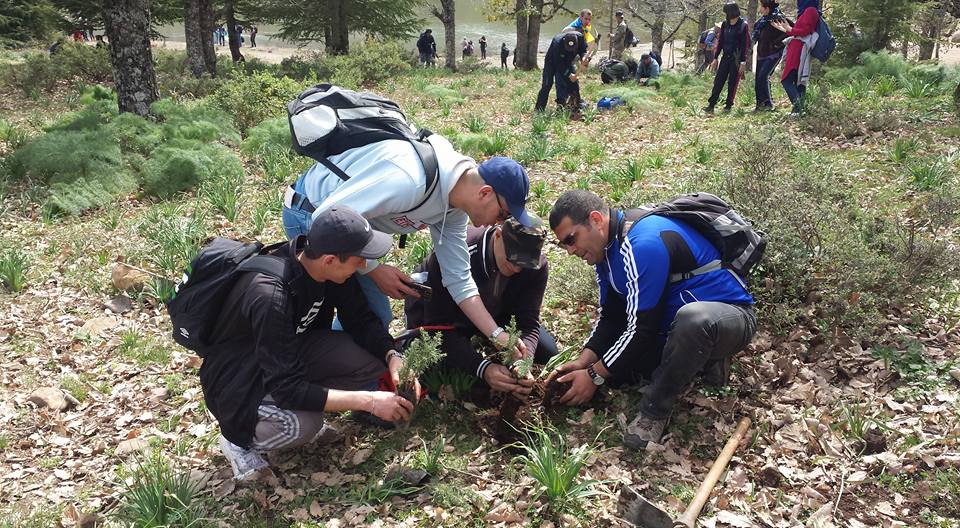 Randonnée reboisement au lac noir 1000 cèdre planter