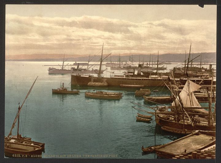 Le port d’Alger au clair de lune
