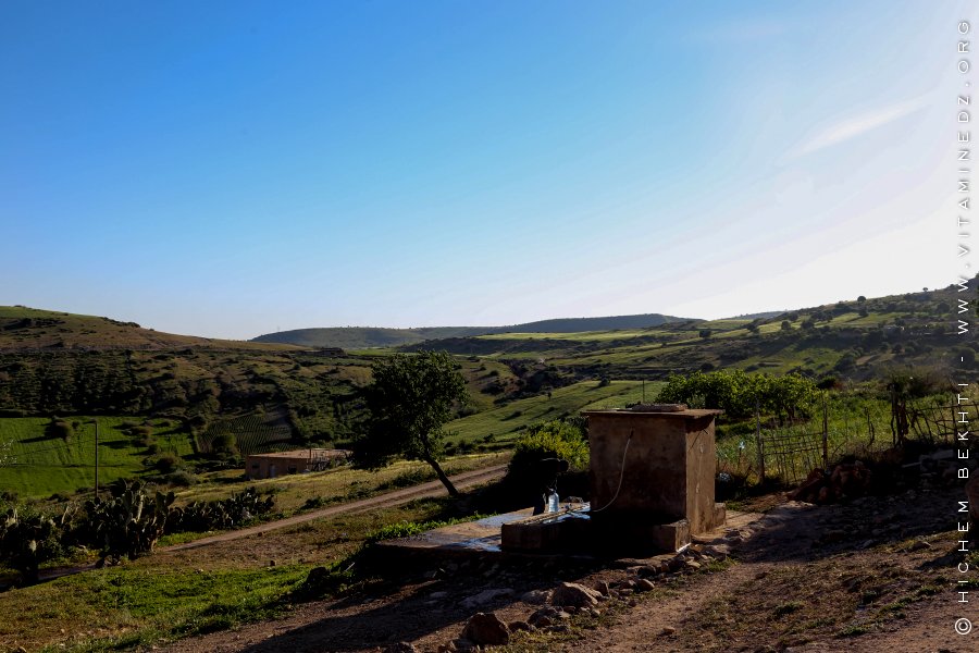 Ain Fetah (La source d'eau) pure et légère
