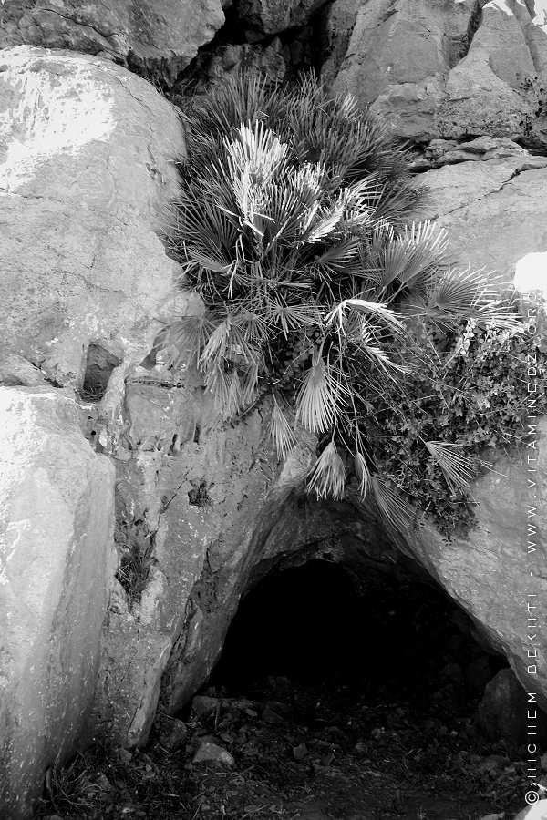 Grottes méconnues de Ain Fetah (Boutrak) à Dahr Djerf El Kebir (Wilaya de Tlemcen)