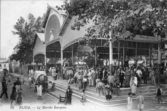 Une visite de l'Algérois