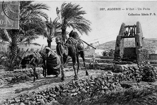 Les animaux travaillent au puits