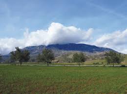 Algrie - Création du Parc national Babor-Tababort