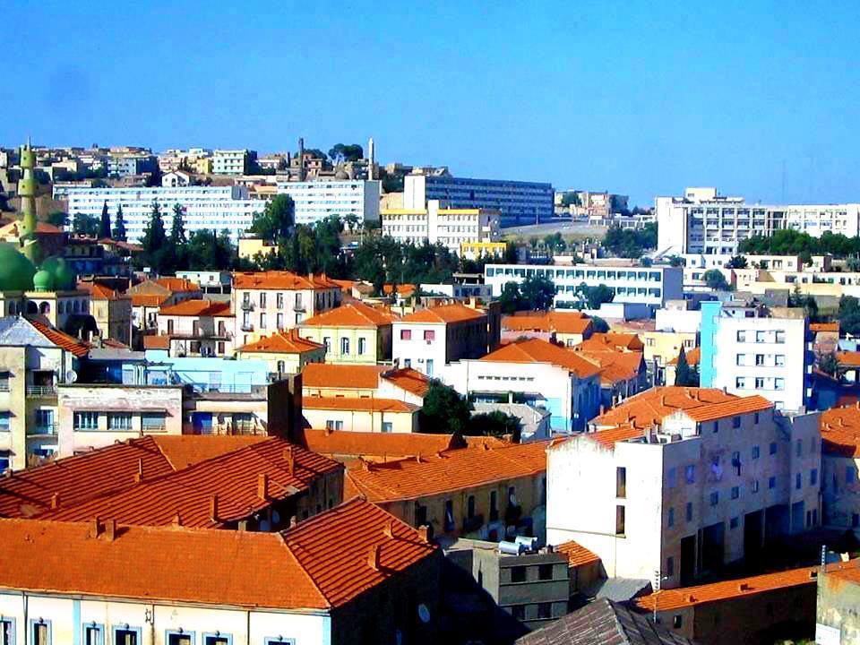 Les tuiles du vieux Tiaret.