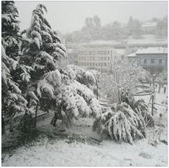 La palce de martyrs ex Carnot