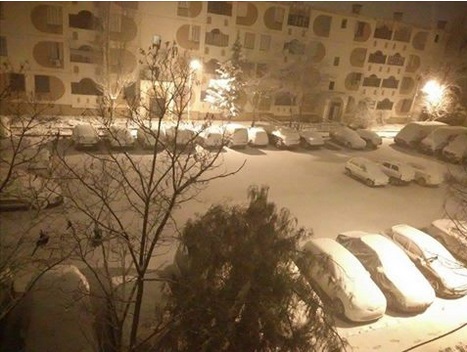 Tiaret, cité l'Avenir.