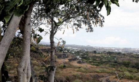 Mostaganem - Les vergers d’orangers menacés par la sécheresse