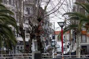 La place vue sur BenBadis ex Bd Clemenceau.