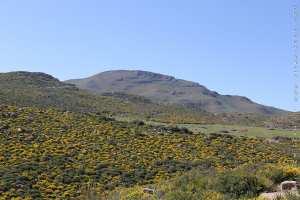 Djbel Fellaoucene - Chaine des Trara