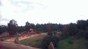 Forêt récréative d’Errich à Bouira:  Un véritable gâchis