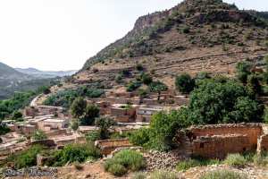 الموضوع الاحتفال باليوم العالمي للتنوع البيولوجي 22 ماي 2017 . المكان :دشرة الكاف سيدي يحي (بلدية سيدي مجاهد ولاية تلمسان )