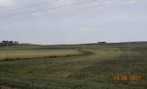 Le Sersou du coté de Ain Bouchekif (Tiaret)