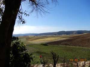Tiaret region de Mecharef, ouest du Sersou.