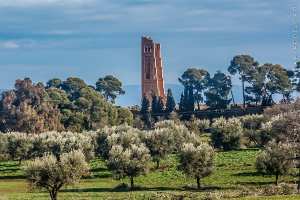 Tlemcen - Le minaret de Mansourah (photo 2006)